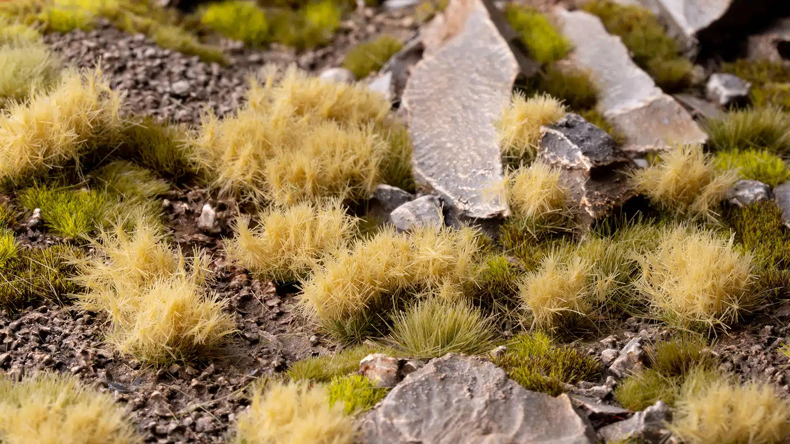 Dense Beige 6mm Tufts (Wild) - Gamers Grass